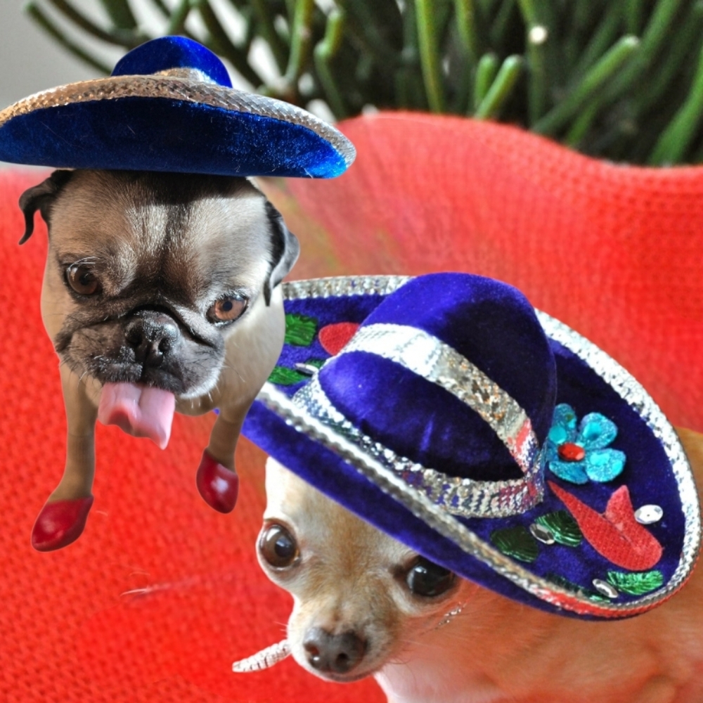 💙 Host Pick 💙 Mexican Blue and Silver Small Dog Mini Sombrero
